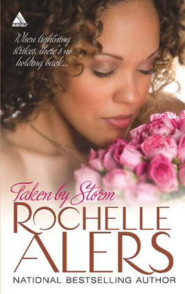 Title details for Taken by Storm by Rochelle Alers - Wait list